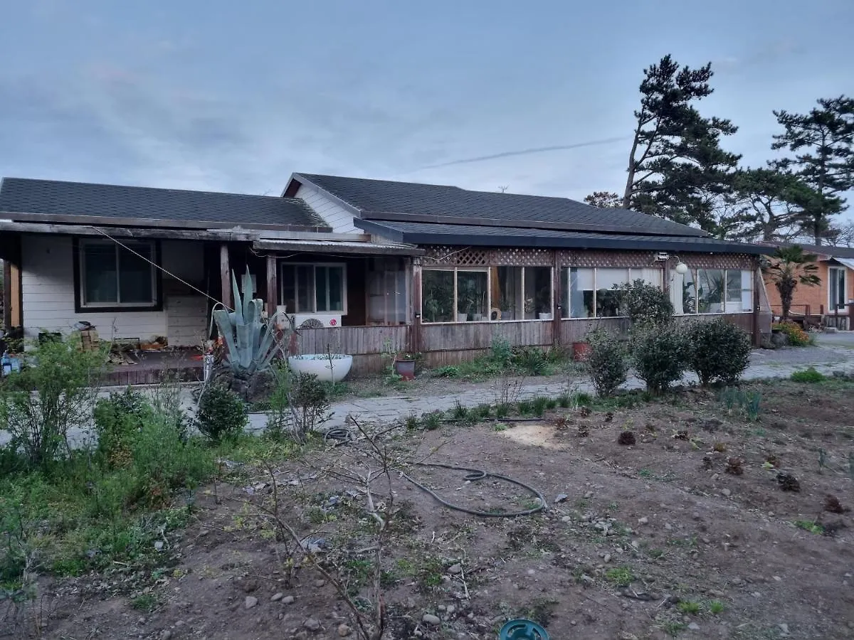 فندق Amy House جيجو 0*,  كوريا الجنوبية