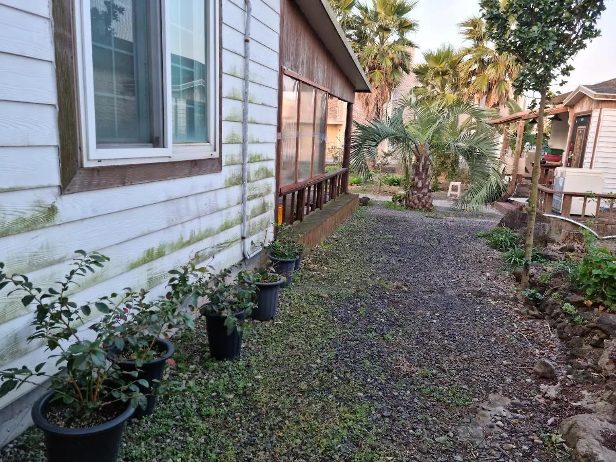 بيت ضيافة فندق Amy House جيجو